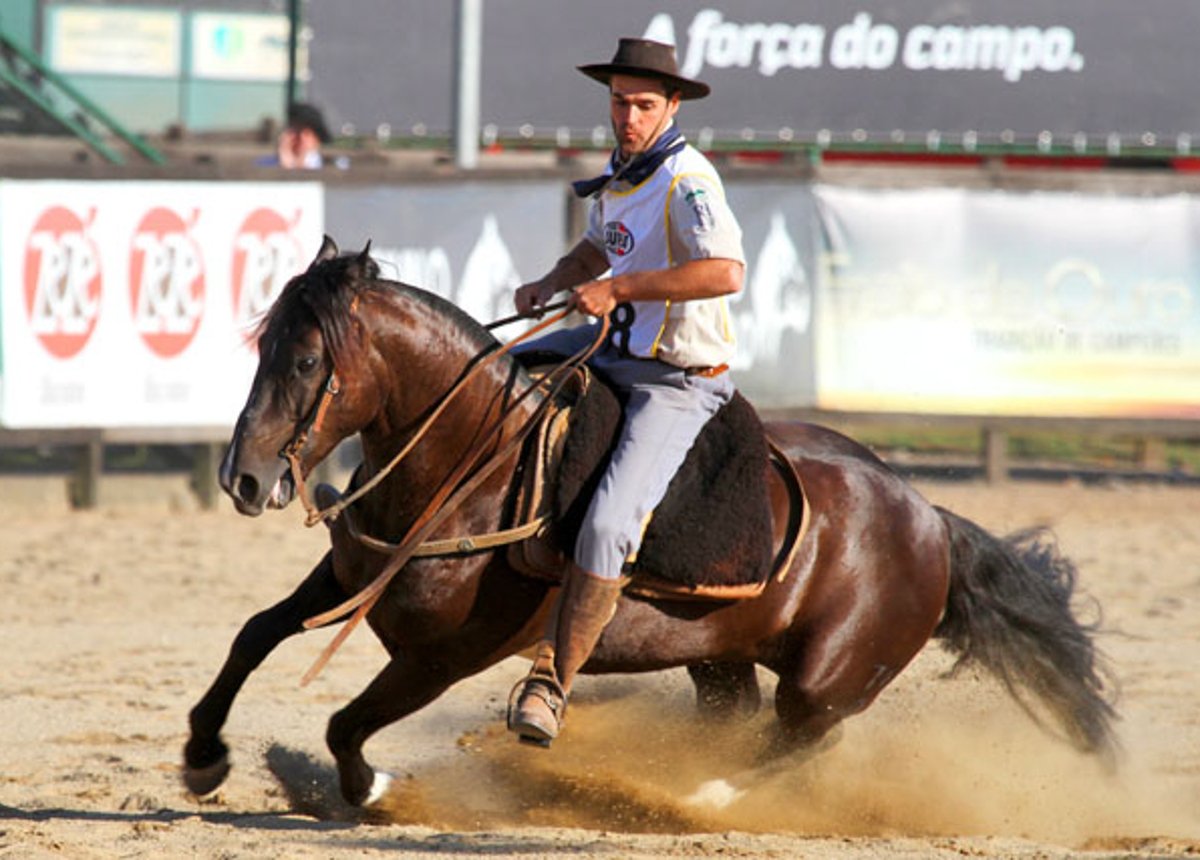 DESTAQUE DA MAIOR