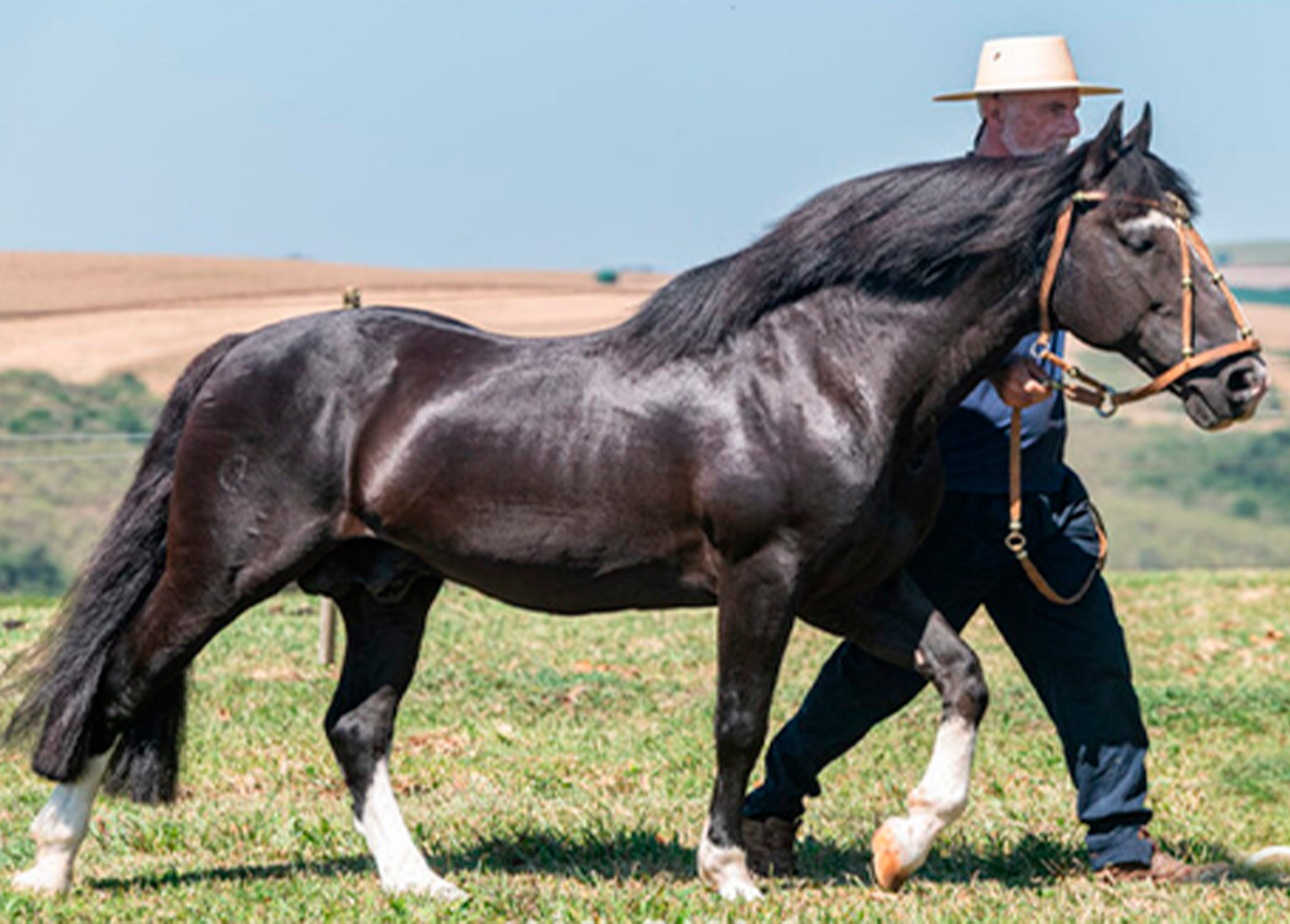 SENDERO CANTEADO