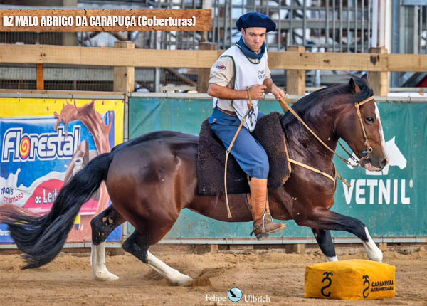 RZ MALO ABRIGO DA CARAPUÇA-TE