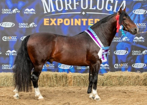 JALISCO DA GAP SÃO PEDRO