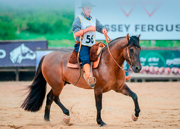 LANCEIRO II DE SANTA EDWIGES