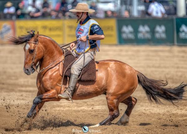 GUARANI 61 DA SORSUL