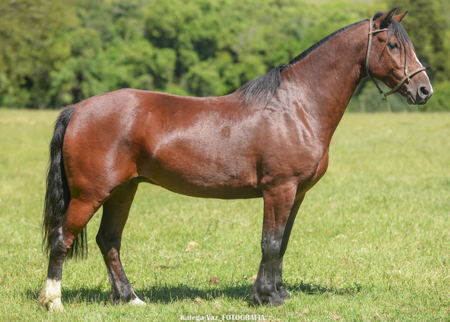 QUADRO NEGRO TARUMÃ
