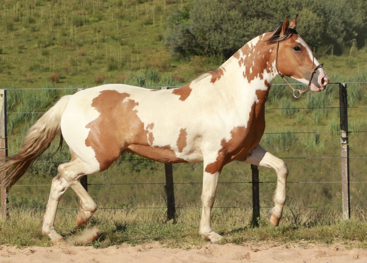 VISTAÇO DO MACANUDO