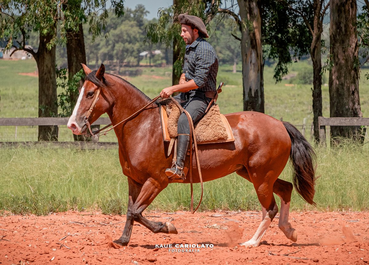 JB ALVORADA DO TAQUARÍ DE SÃO CHICO