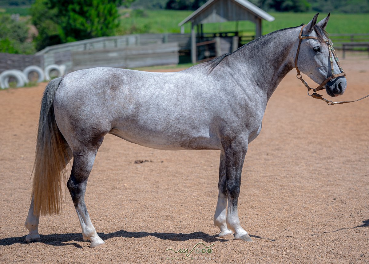 LAS TINIDERAS CARTA VIEJA