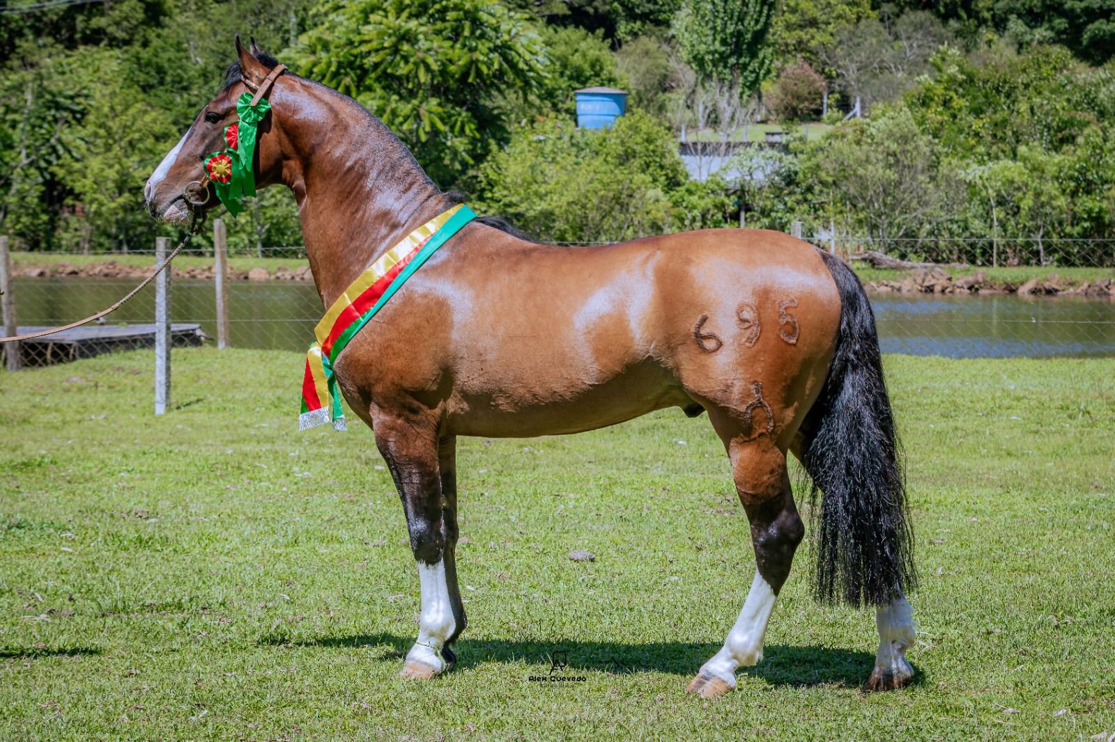 MARCONI FERRO DE PUA (COTA DE 10%)