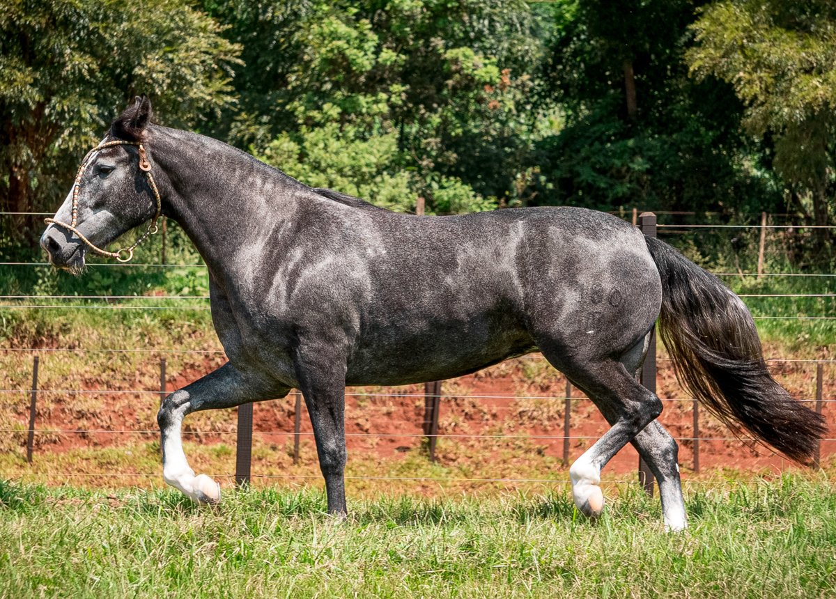 PATAGÔNIA 180 SORSUL