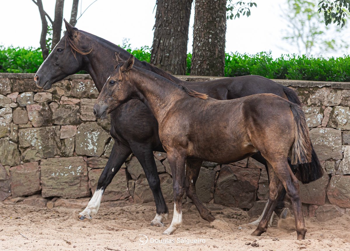LA BUENACHA GUSTO EN VERLA