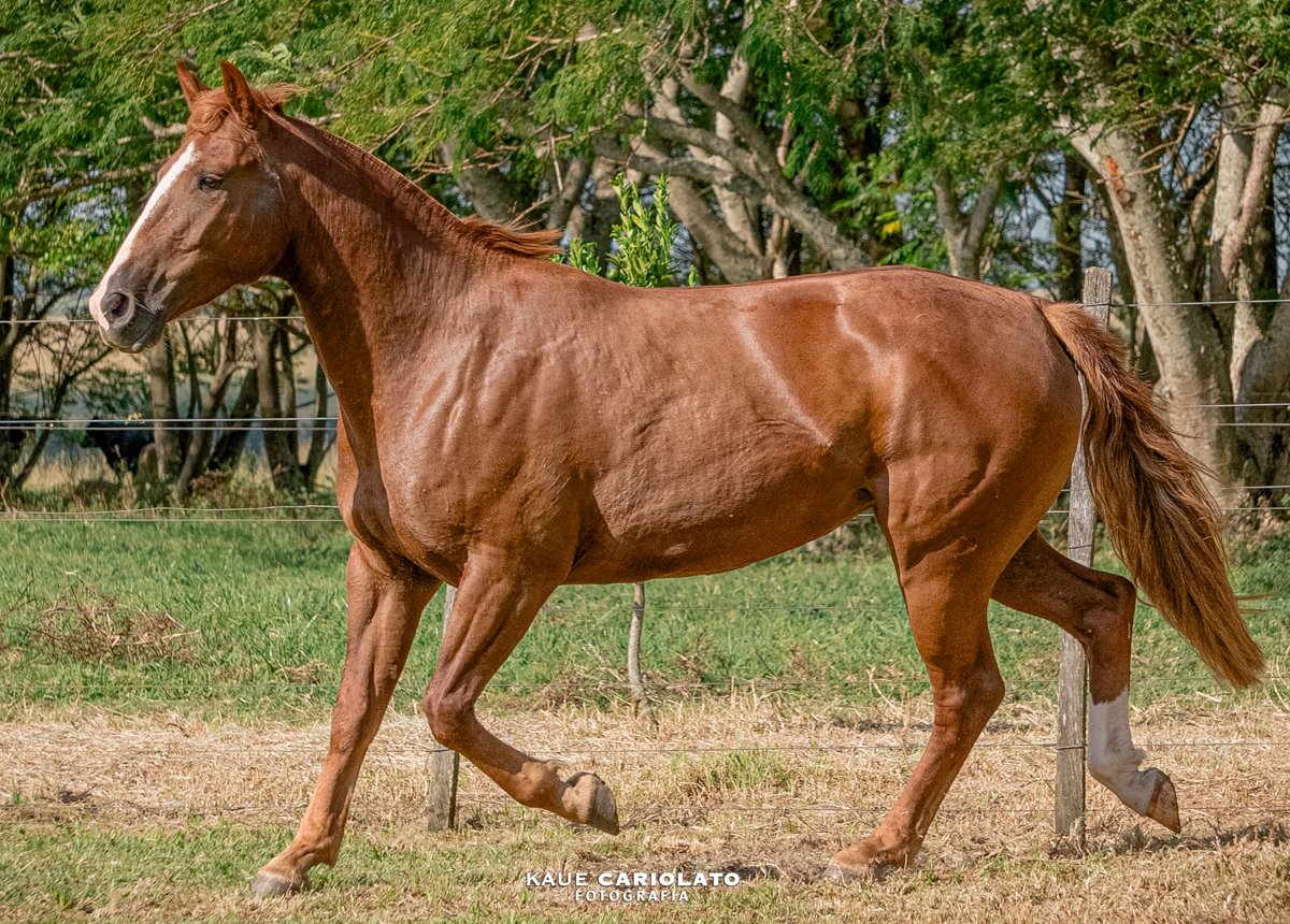 ÓRBITA DA UNIÃO DA VITÓRIA