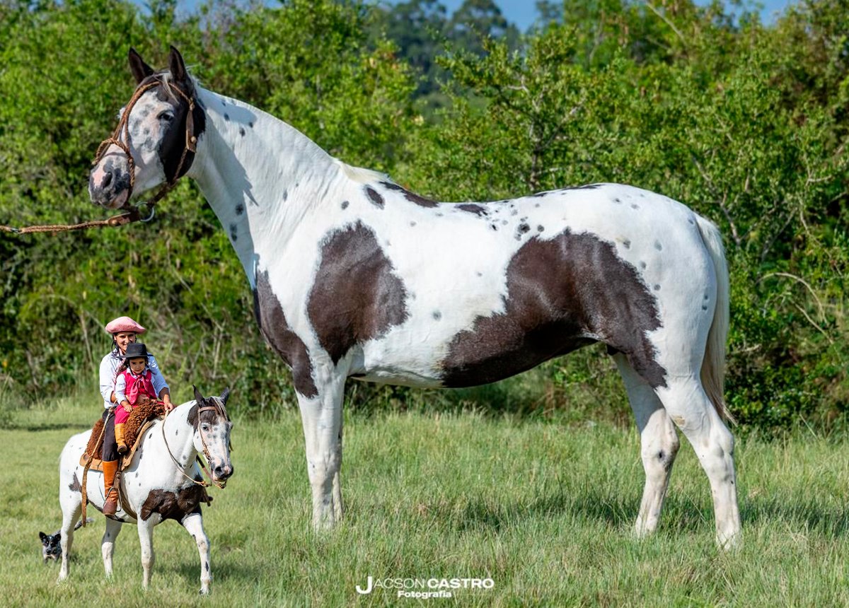 SCANDALOSSA DA RIO BONITO