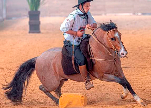 LEOPARDO DA GAP SÃO PEDRO-TE