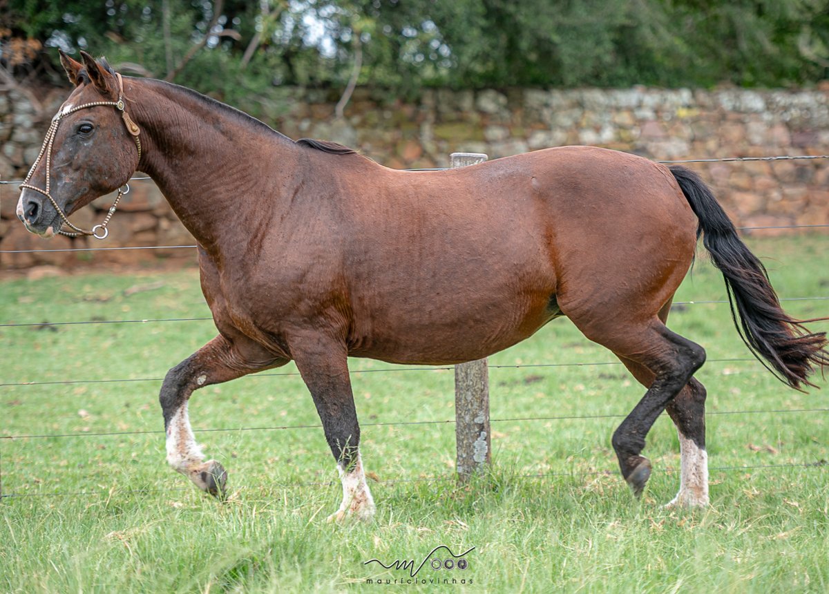 RZ ASÍ VALIENTINA DA CARAPUÇA