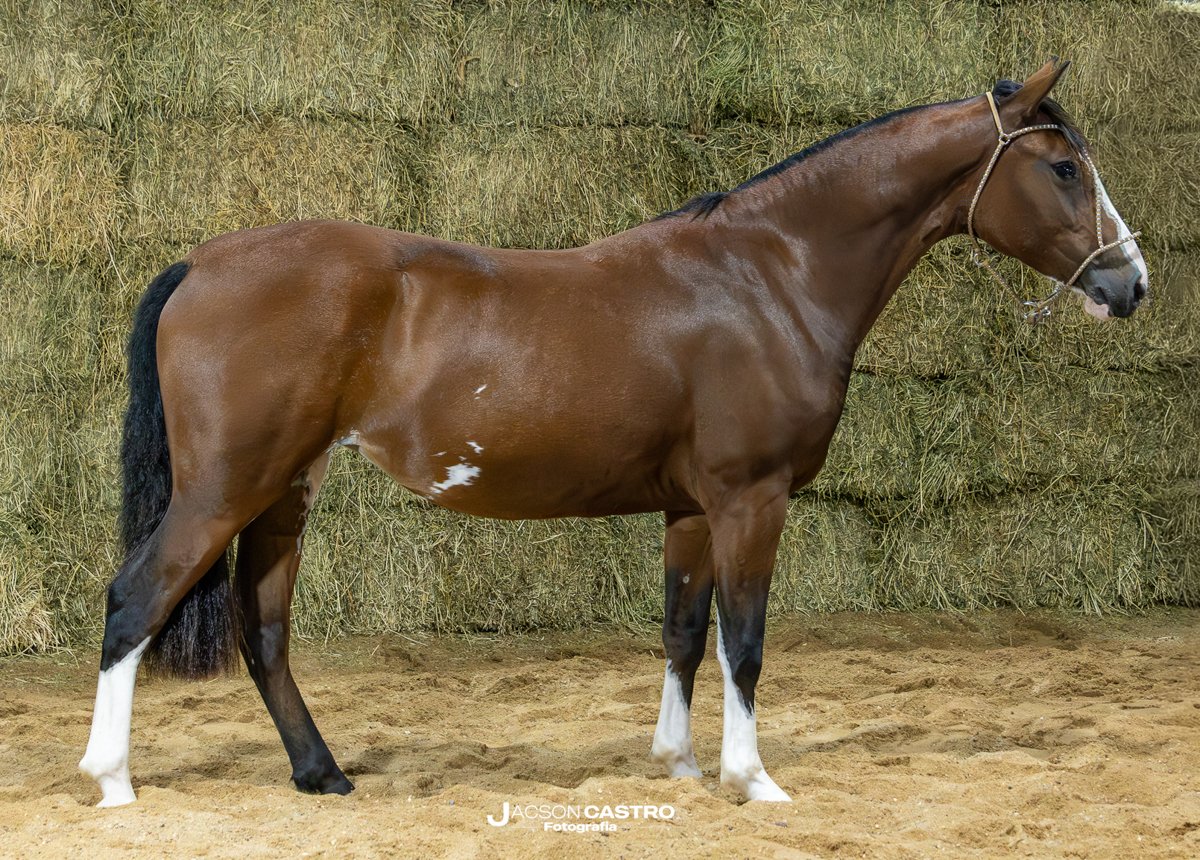 LAS TINIDERAS CONSEJERA