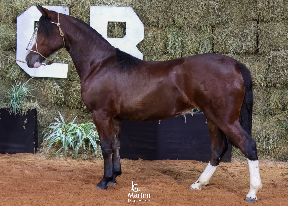 OBRA DE ARTE DO ITAÓ-TE