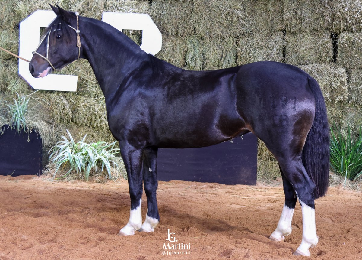 MADRINHA II DO ITAÓ-TE