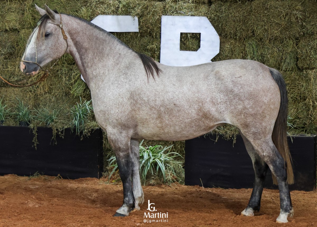 DE LOS PAMPAS CAMPESINA-TE