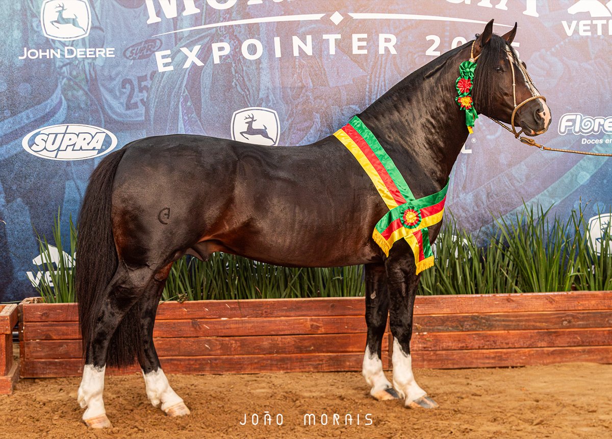 COBERTURA - MARTIN FIERRO DO ITAÓ