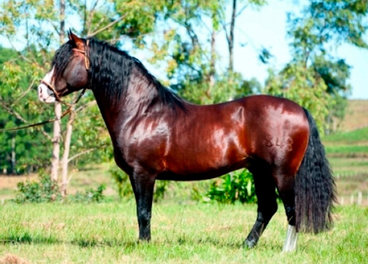 ALTO ASTRAL DE SANTA EDWIGES