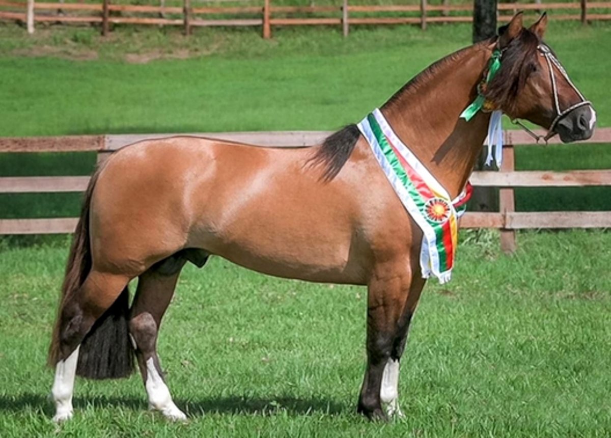 NOCHERO DA TAMANCA
