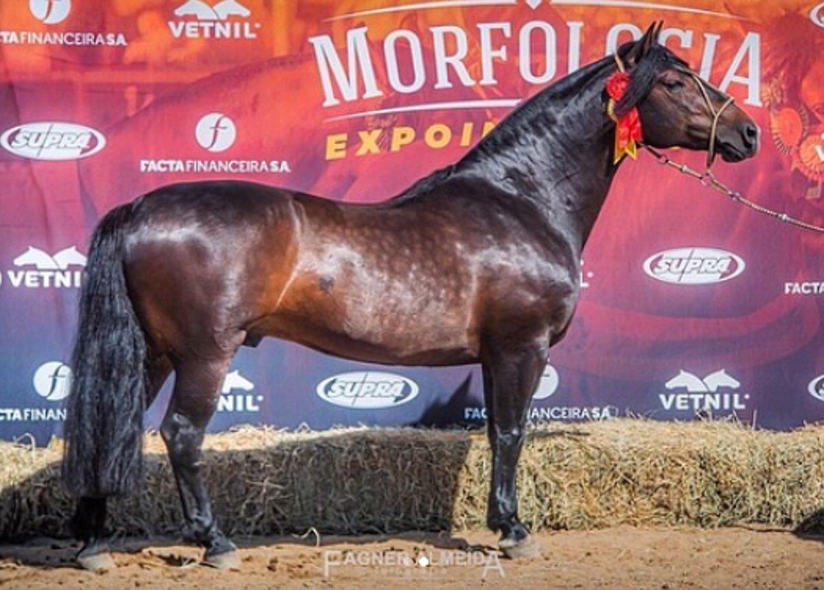 VIRAGRO RIO TORO