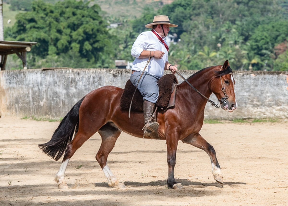 PAULO AFONSO SUPREMA