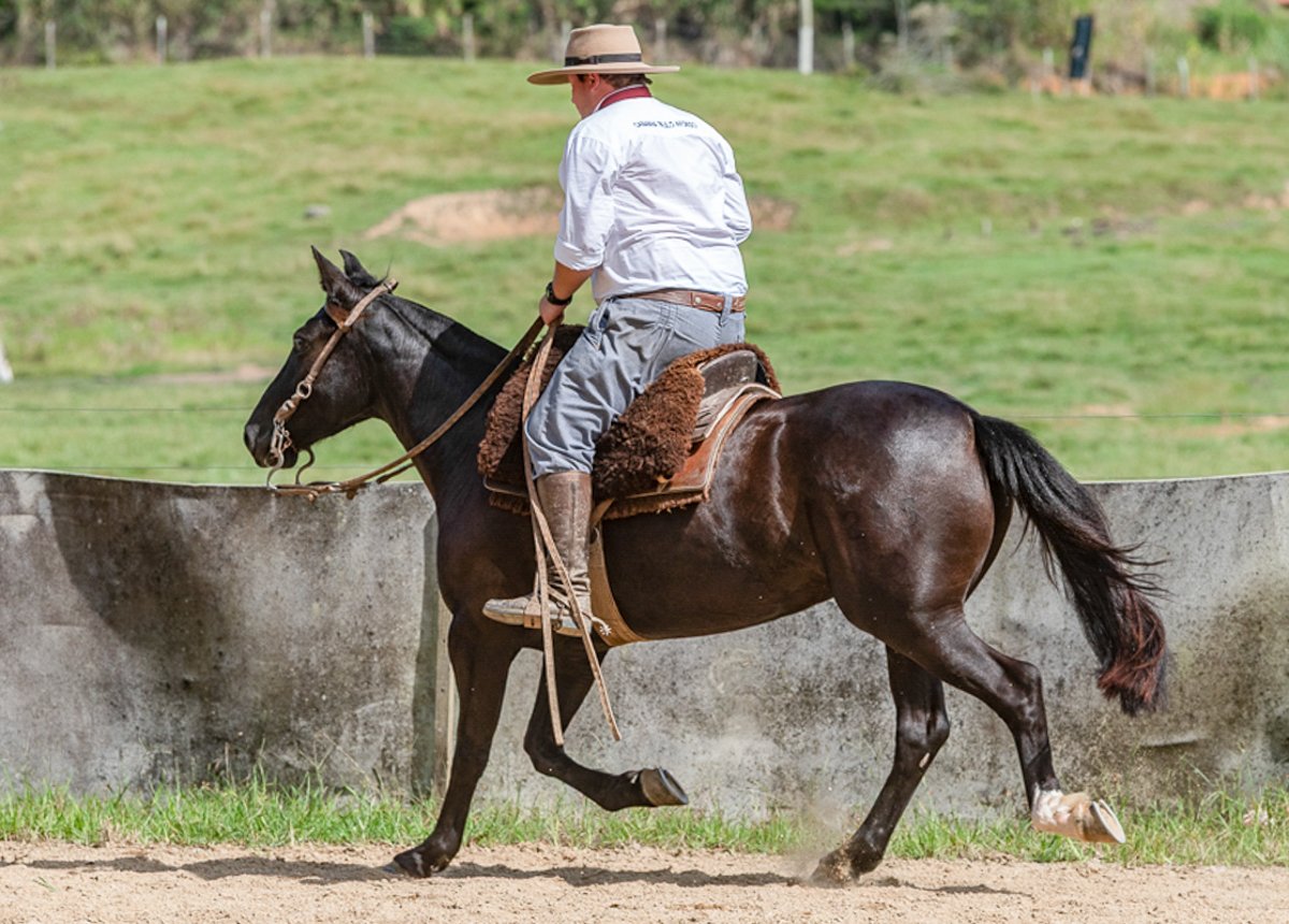 PAULO AFONSO REQUEIMADA
