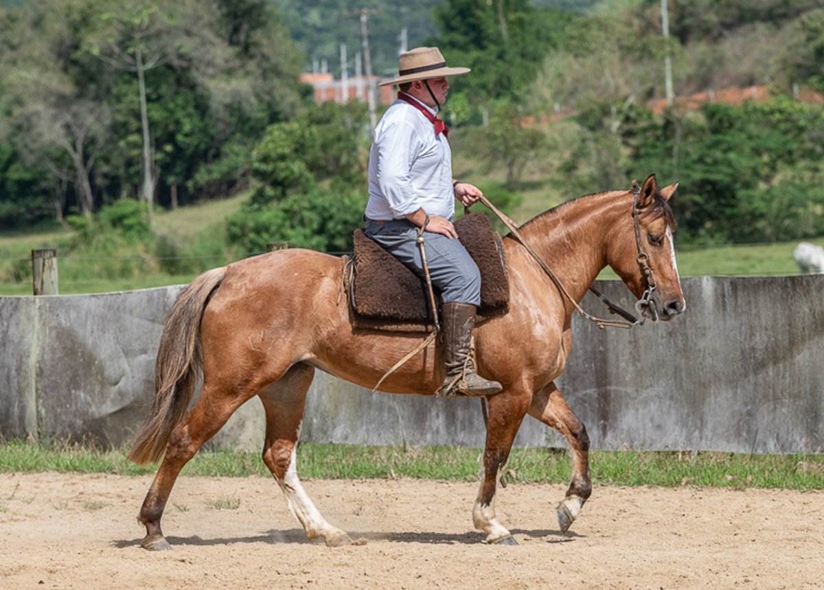 PAULO AFONSO QUILAPY