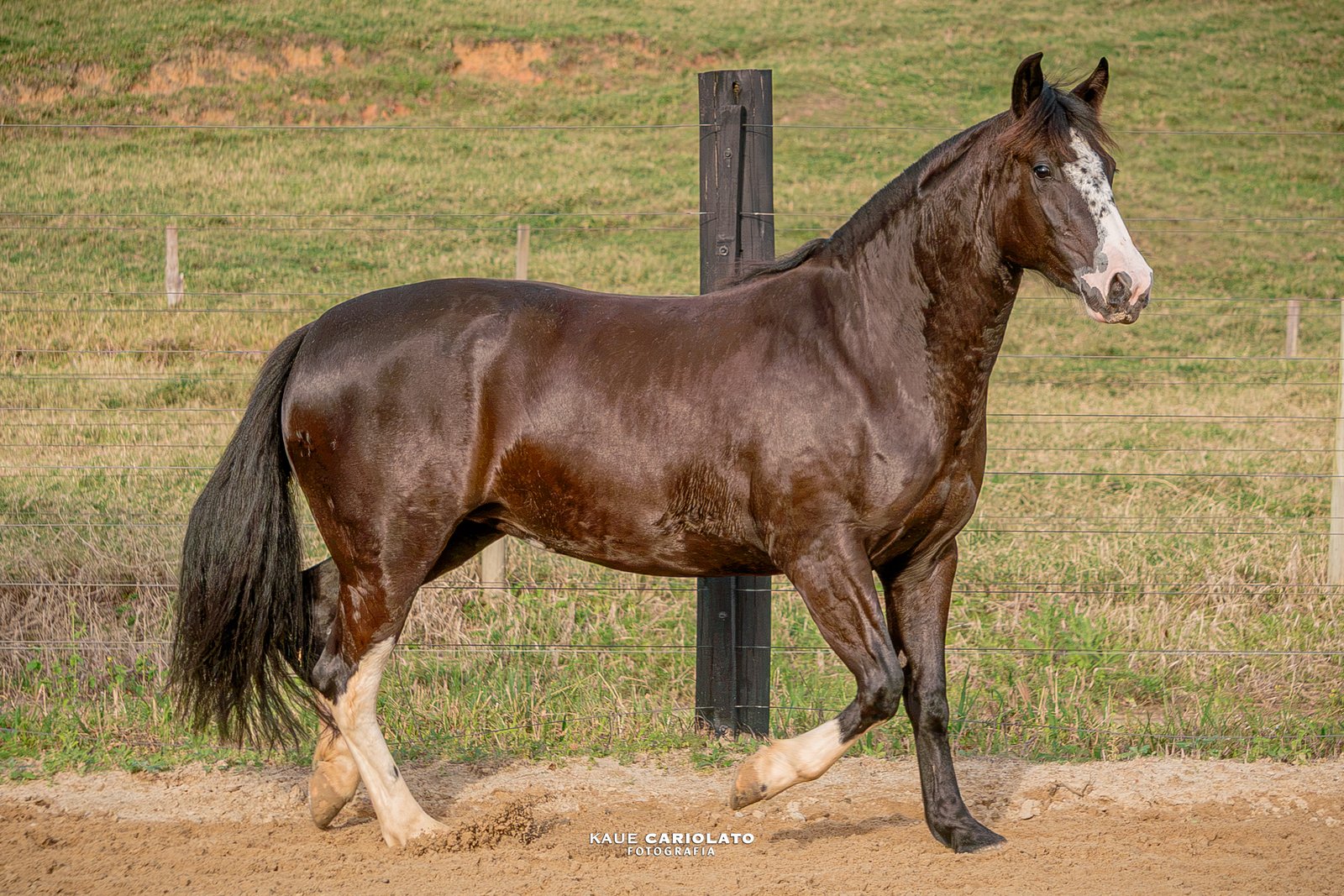LABAREDA 134 DA LPW