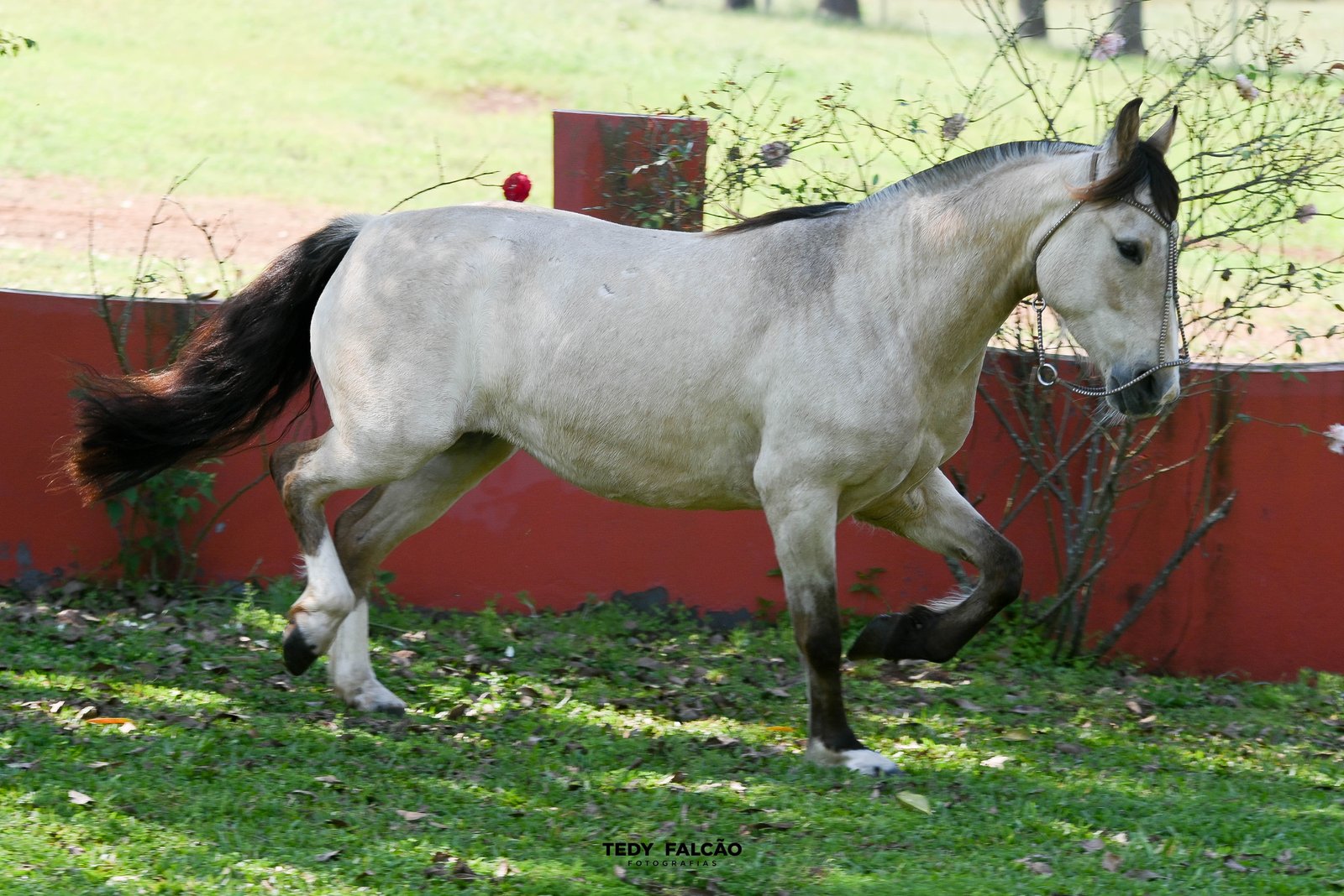 SANTA JULIA OÑA GUINDA