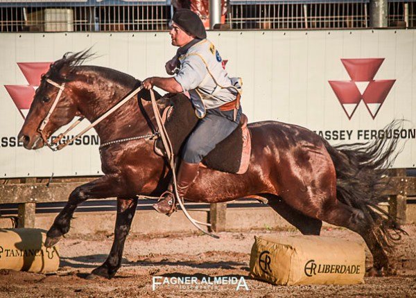 PEÑAROL DA BOA VISTA