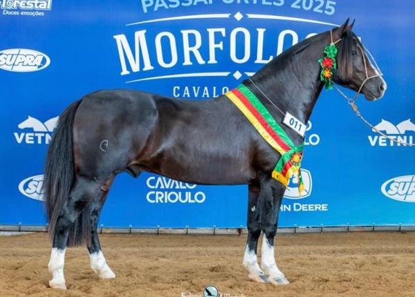 MARTIN FIERRO DO ITAÓ 