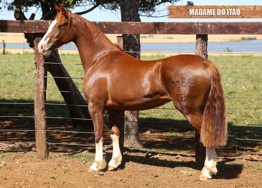 MADAME DO ITAÓ