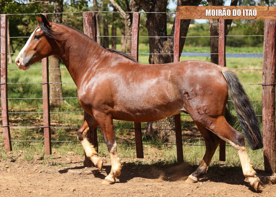 MOIRÃO DO ITAÓ