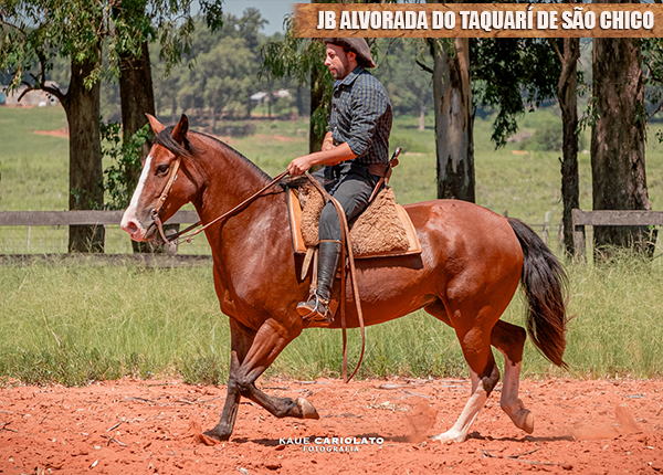 JB ALVORADA DO TAQUARÍ DE SÃO CHICO