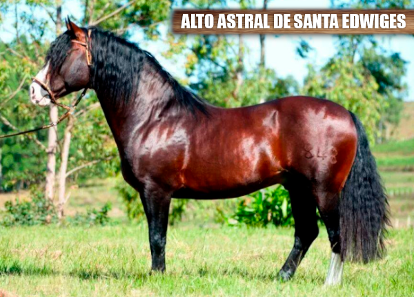 ALTO ASTRAL DE SANTA EDWIGES