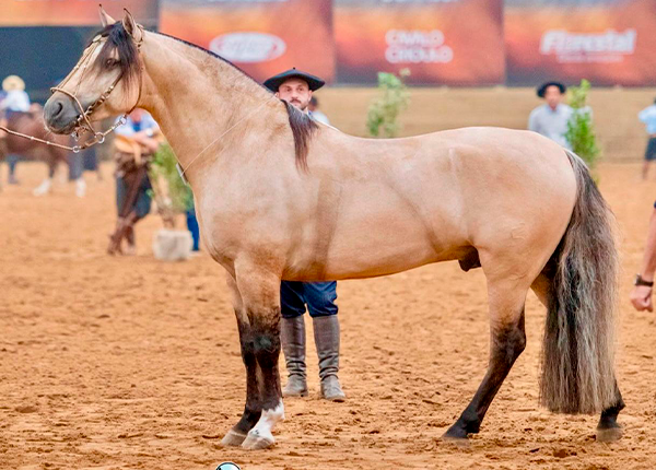 FLOREIO DE SANTA THEREZA