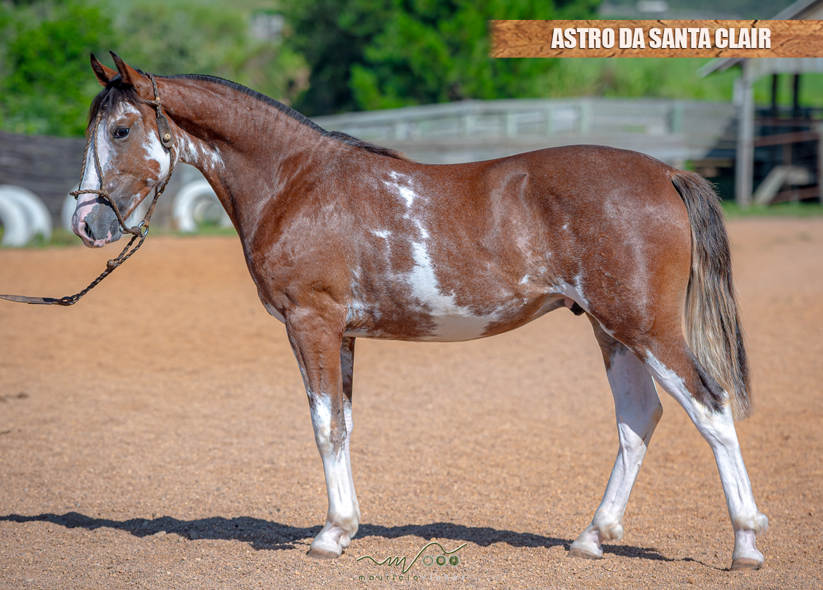 ASTRO DA SANTA CLAIR