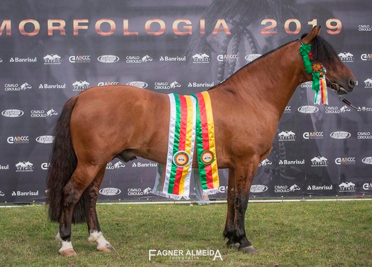 MANO A MANO DO RAÚNA (COTA DE 5%)