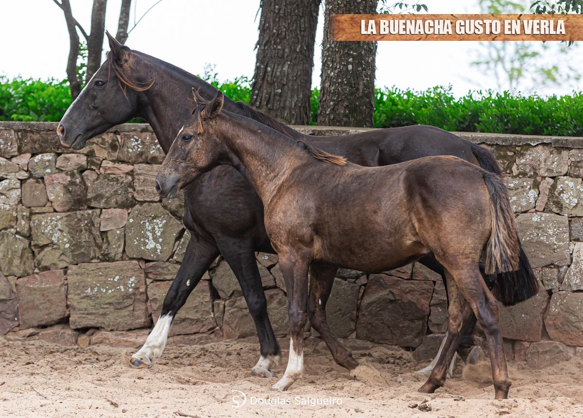 LA BUENACHA GUSTO EN VERLA