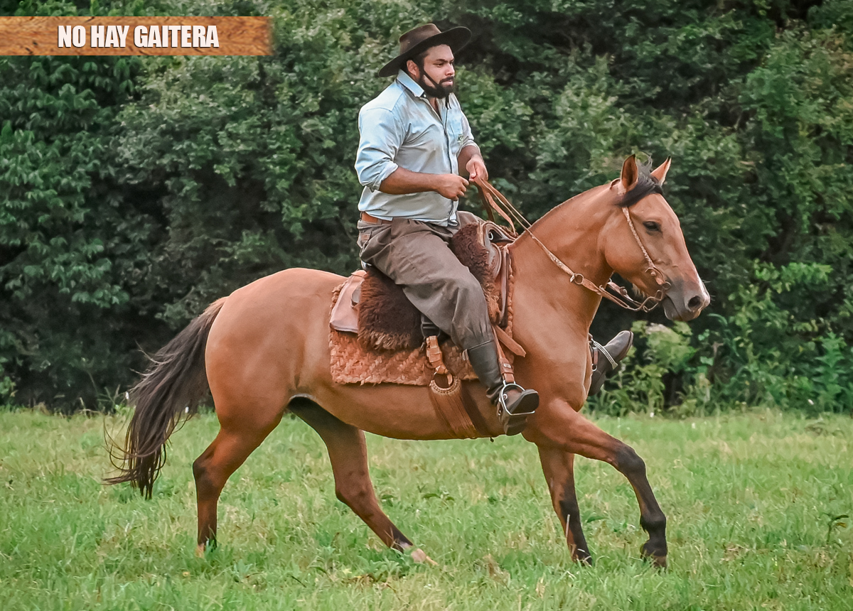 NO HAY GAITERA