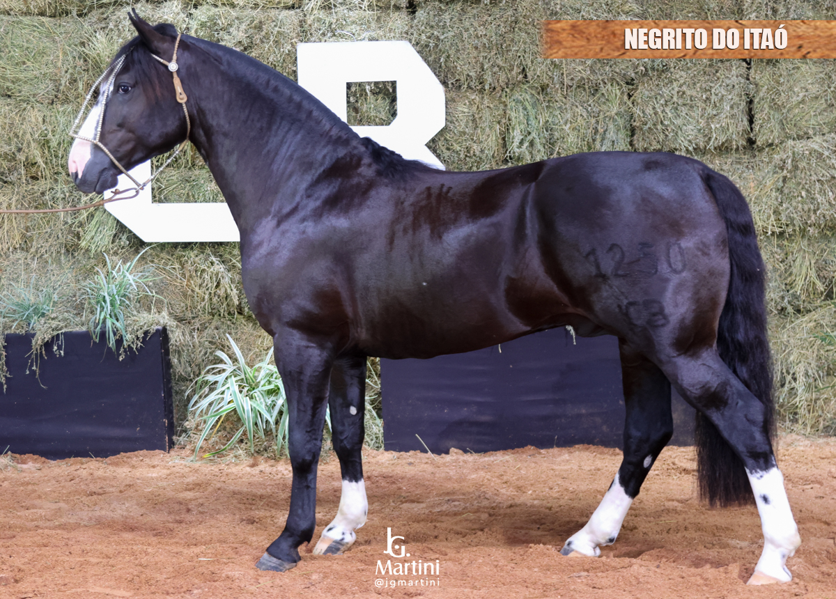 NEGRITO DO ITAÓ
