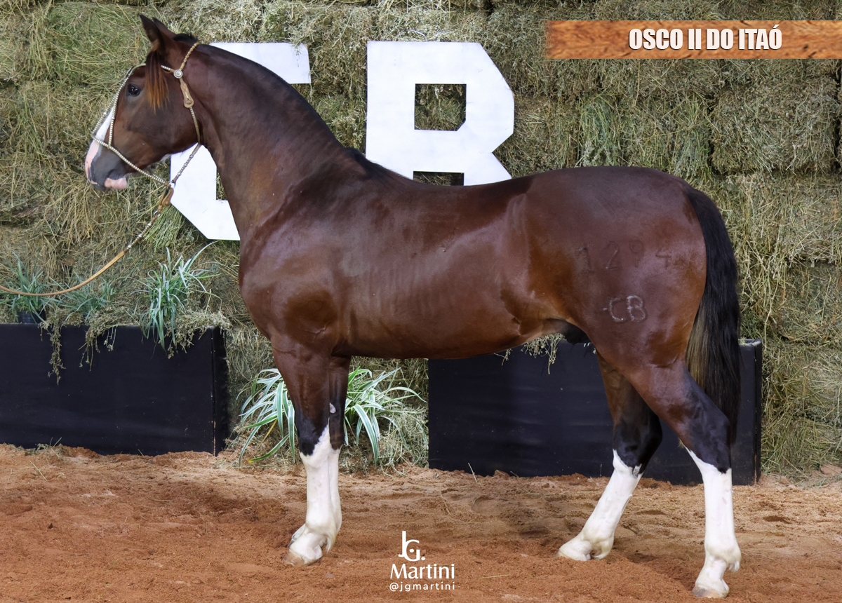 OSCO II DO ITAÓ