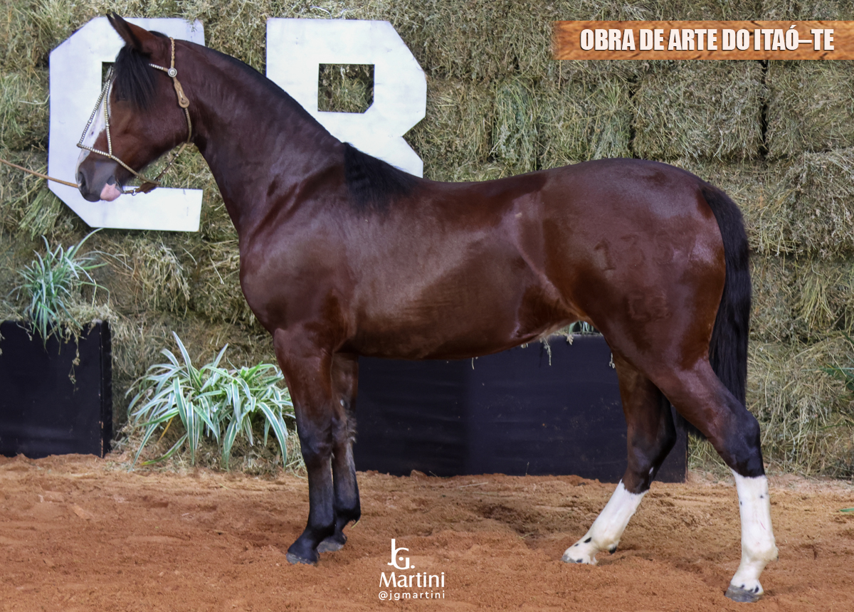 OBRA DE ARTE DO ITAÓ-TE