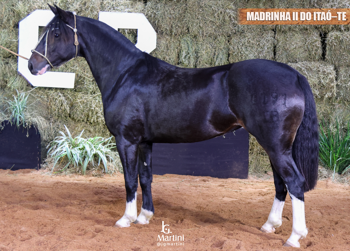 MADRINHA II DO ITAÓ-TE