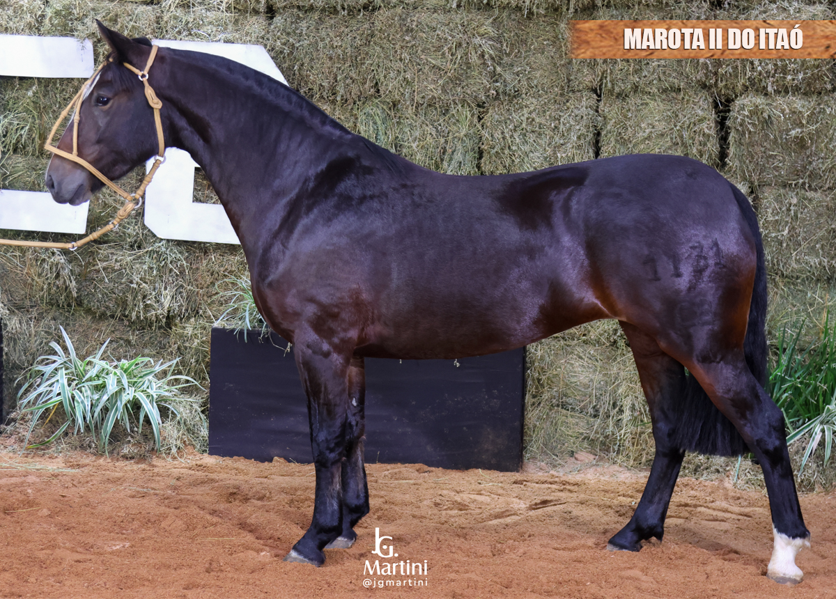MAROTA II DO ITAÓ