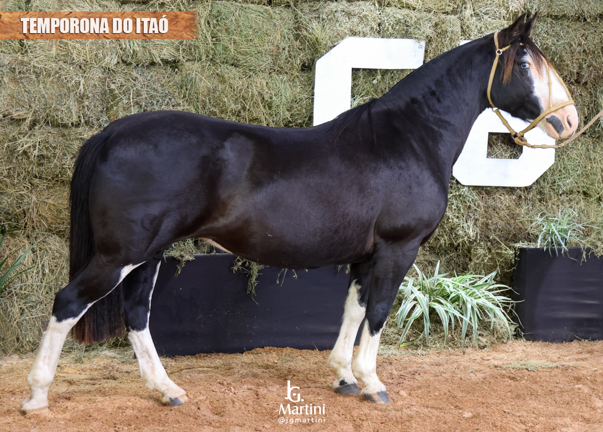 TEMPORONA DO ITAÓ