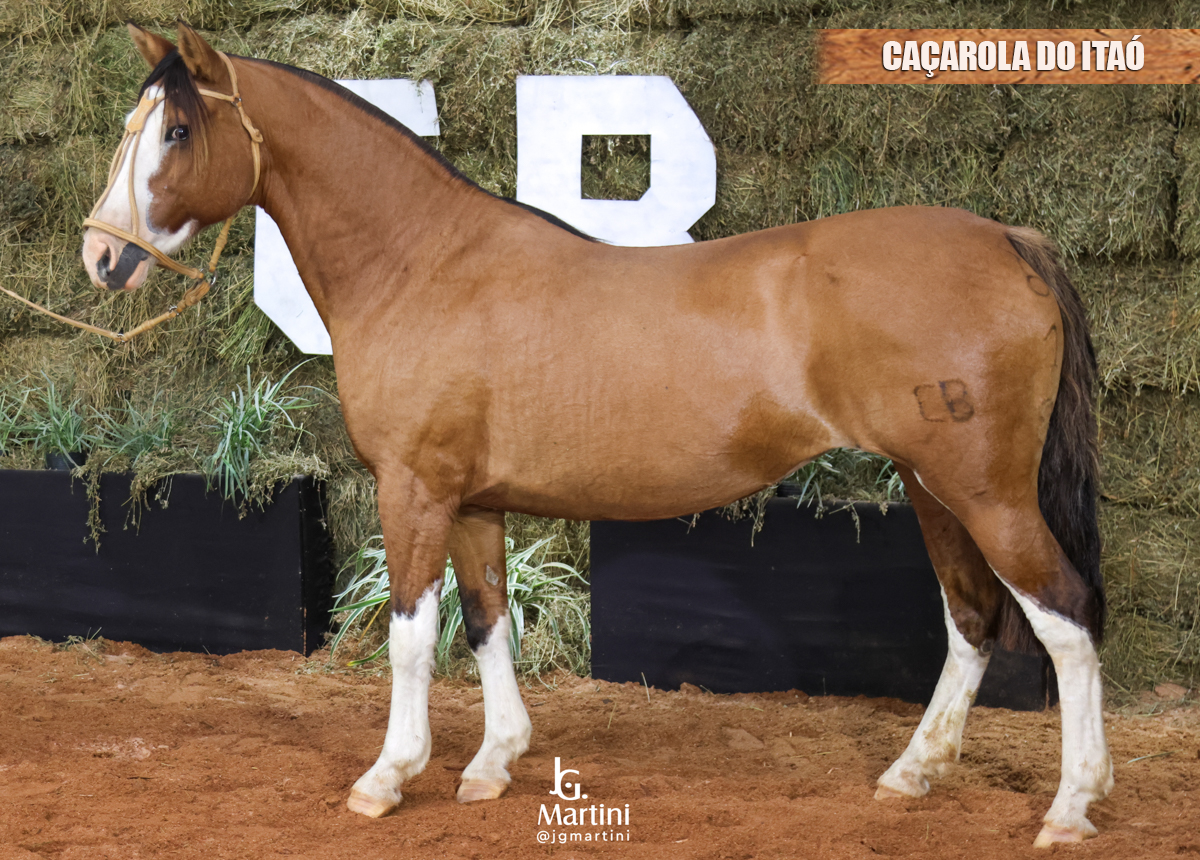 CAÇAROLA DO ITAÓ