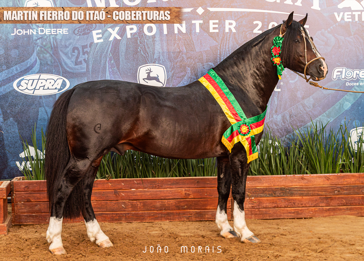 COBERTURA - MARTIN FIERRO DO ITAÓ