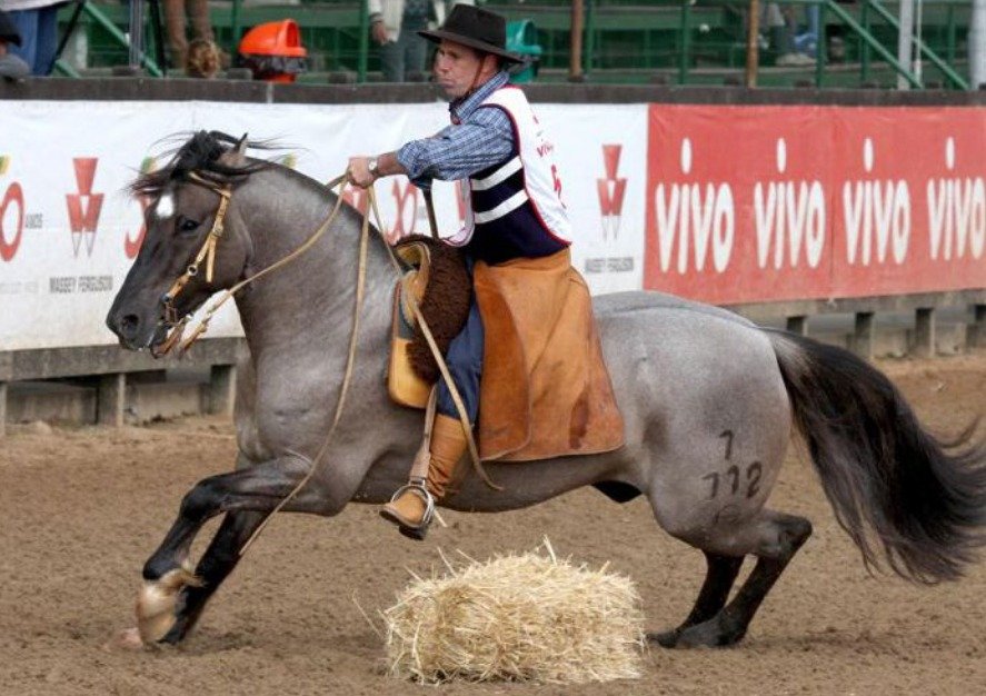 FERIADO DE SANTA EDWIGES